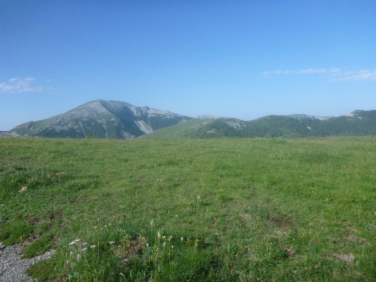 Gite Belle Valette Prads-Haute-Bléone Eksteriør billede